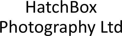 HatchBox Photography